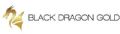 Black Dragon Gold Corp. Stock Market Press Releases and Company Profile