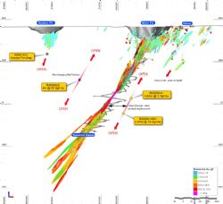 Figure 2. View through the Youanmi lode system looking north-west