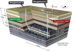 Figure 1: Schematic showing the Rougemont-3 laterals