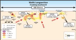 Figure 4. Waihi deposit longsection