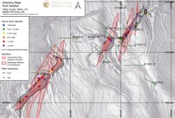 Figure 3b: Gold results of rockchip sampling at Antimony Ridge