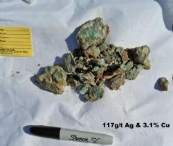 Figure 3: Rock Chip Sample 258420 – Malachite-stained selvages along a 50cm wide quartz vein