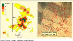 Figure 2. Barns Project calcrete gold geochemistry