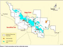 Figure 3. Gold anomalies and low carbonate areas