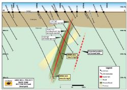 Figure 3. Suzie Zone cross section 19175mN (local grid)