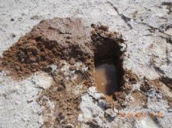 Figure 3. Brine flowing from LHAC003 via the outside return and near surface brine in a shallow pit at the same location