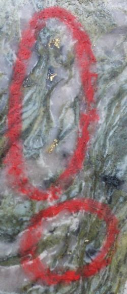 Visible Gold In Drill Core