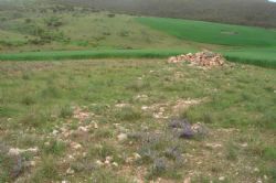 Figure 3: Presence of outcropping extensive pegmatites on the Eyre Peninsula Project