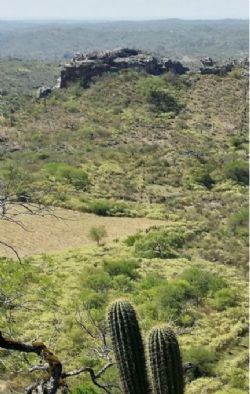 Spodumene crystals and large outcropping pegmatites in Ancasti