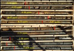 Diamond core from HRDD006 showing high-grade gold results from 78.8m -87.8m(ppm =g/t Au)
