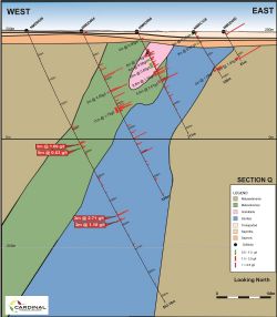 Cross Section showing NMDD066