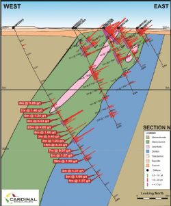 Cross Section showing NMDD065