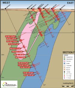 Cross Section showing NMDD063