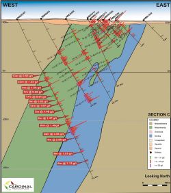 Cross Section showing NMDD067