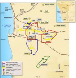 Tenement and Prospect location maps.