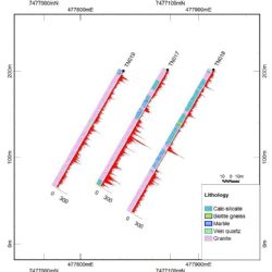 Barking Gecko: Drill Hole Cross-Section of Basement Drilling.
