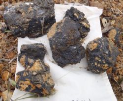 Fifield Project - Rock Chip Sample FF011