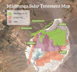 Maricunga Salar Tenement Map