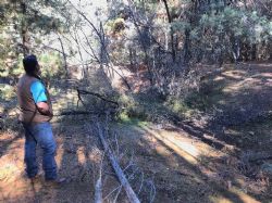 Former small open pit area, now infilled, at the Black Bullock southern workings.