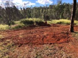 repaired site of pits BJP002 and BJP003 on old track in scrubland that had been burnt last year.