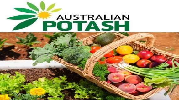 管理层情况更新