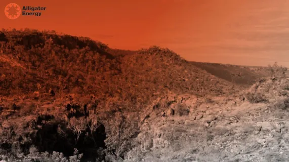 Quarterly Activities Report