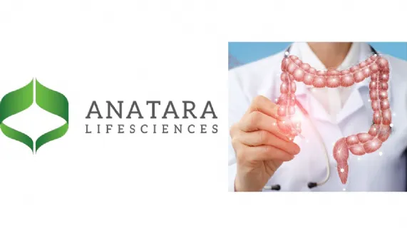 Meet the CEO Investor Webinar