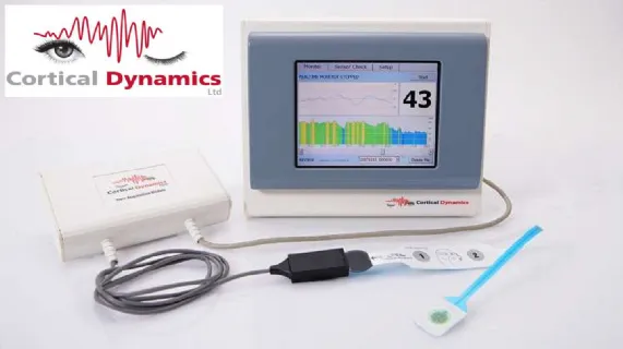 Update Investee Cortical Dynamics Developments