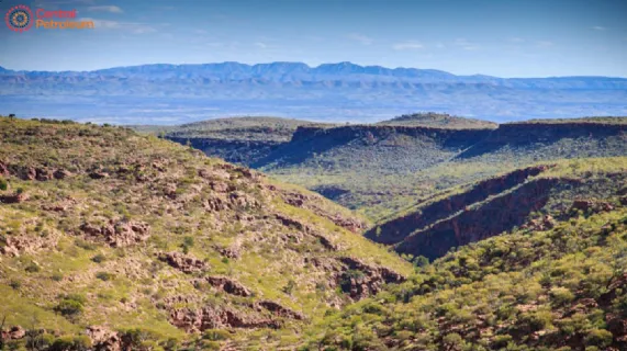 Resignation of Director