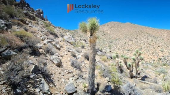 Locksley Qualifies for Trading on U.S. OTCQX Market