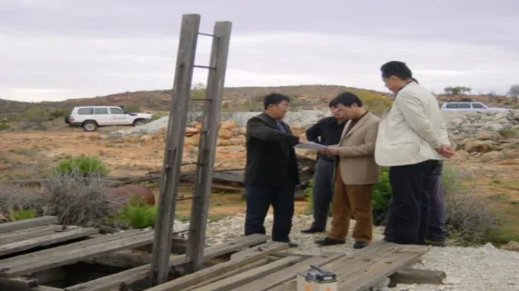 PepinNini and SinoSteel