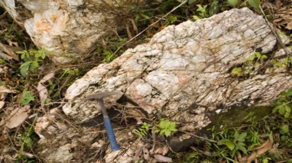 Zedex Minerals Limited (ASX:ZDX)