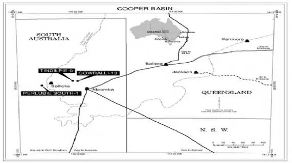 Beach Petroleum Limited (ASX:BPT) Weekly Drilling Report Week ending 10 June 2009