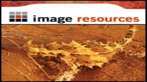 Over 6 Million Tonnes Heavy Mineral Estimated At Image Resources NL (ASX:IMA) Cyclone And Cyclone Extended