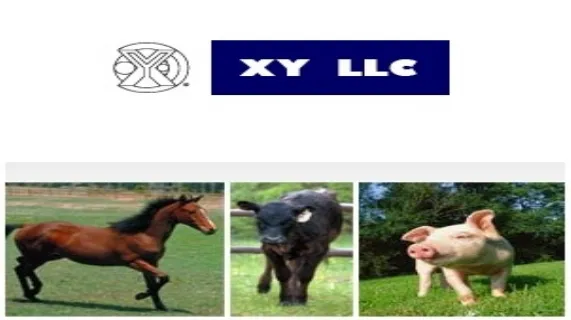 Awarded $8.5M Judgment Against Former Licensee