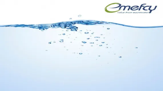 Preliminary Final Report