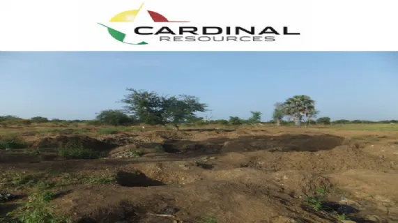 Interim Metallurgical Update for Namdini Project