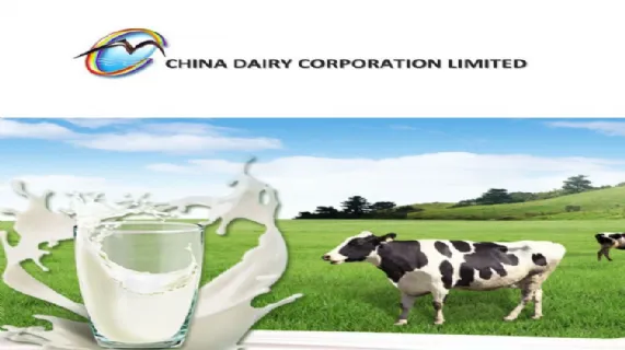 Quarterly Trading Update Ending 31 March 2017