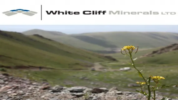 Quarterly Report for the Period Ended March 2019