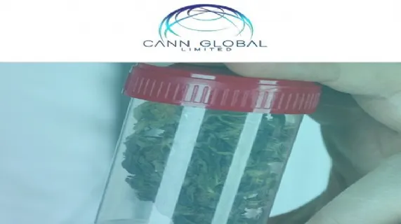 Reinstatement Update