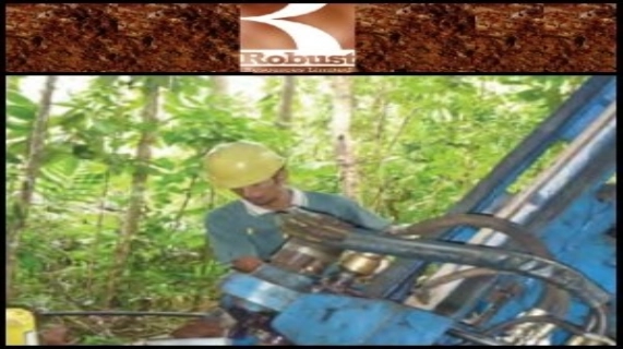 2011년 2월8일 호주 시장보고서: Robust Resources (ASX:ROL), 인도네시아에서 고 등급의 금, 은 및 황화 광물 발견