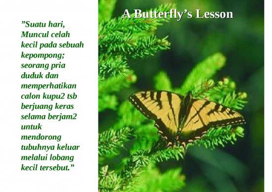 picture Presentasi Usaha Ppt 65 | Power Point Motivasi - Belajar Dari Kupu-kupu