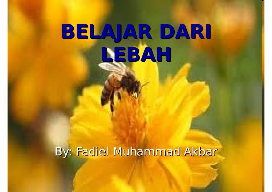 picture Power Point Motivasi - Belajar Dari Lebah