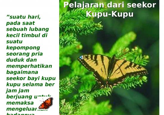 picture_Power Point Motivasi - Kupu-kupu