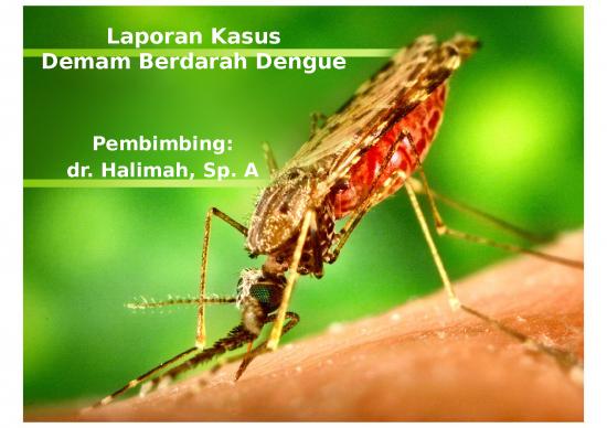 picture Laporan Ppt 2013 | Power Point Laporan Kasus Demam Berdarah Dengue
