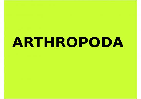 picture Jelaskan Peredaran Darah Pada Udang 2280 | Power Point - Arthropoda