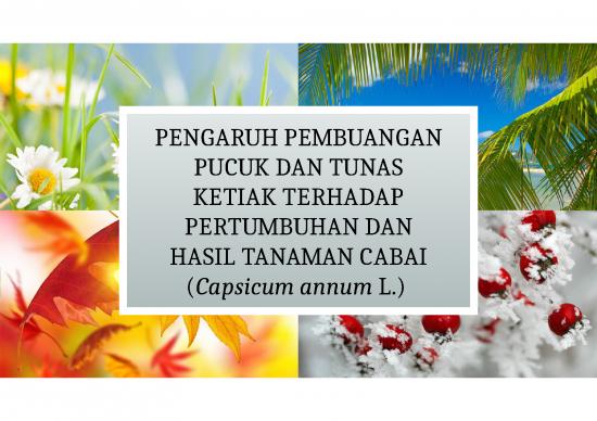 picture Power Point - Pembuangan Pucuk Dan Tunas Ketiak Terhadap Pertumbuhan Dan Hasil Tanaman Cabai