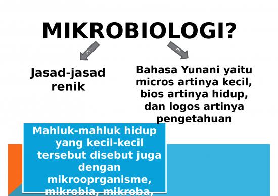picture_Biologi - Mikrobiologi