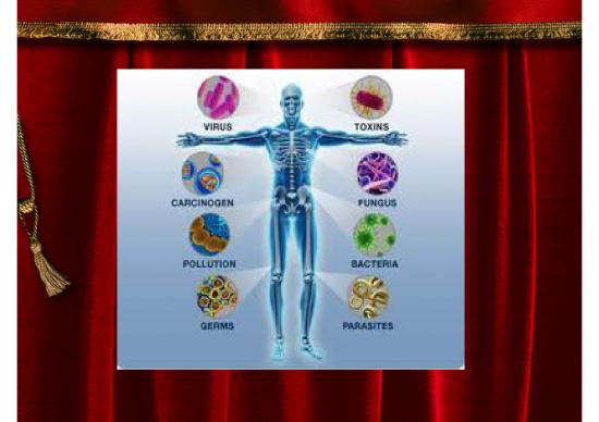 picture_Mekanisme Pembentukan Antigen Antibody Dan Sirkulasi Tubuh Pada Manusia