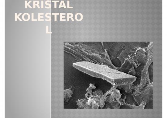 picture_Kolesterol - Sterol Penting Dalam Tubuh Yang Merupakan Prekursor Untuk Hormon Penting